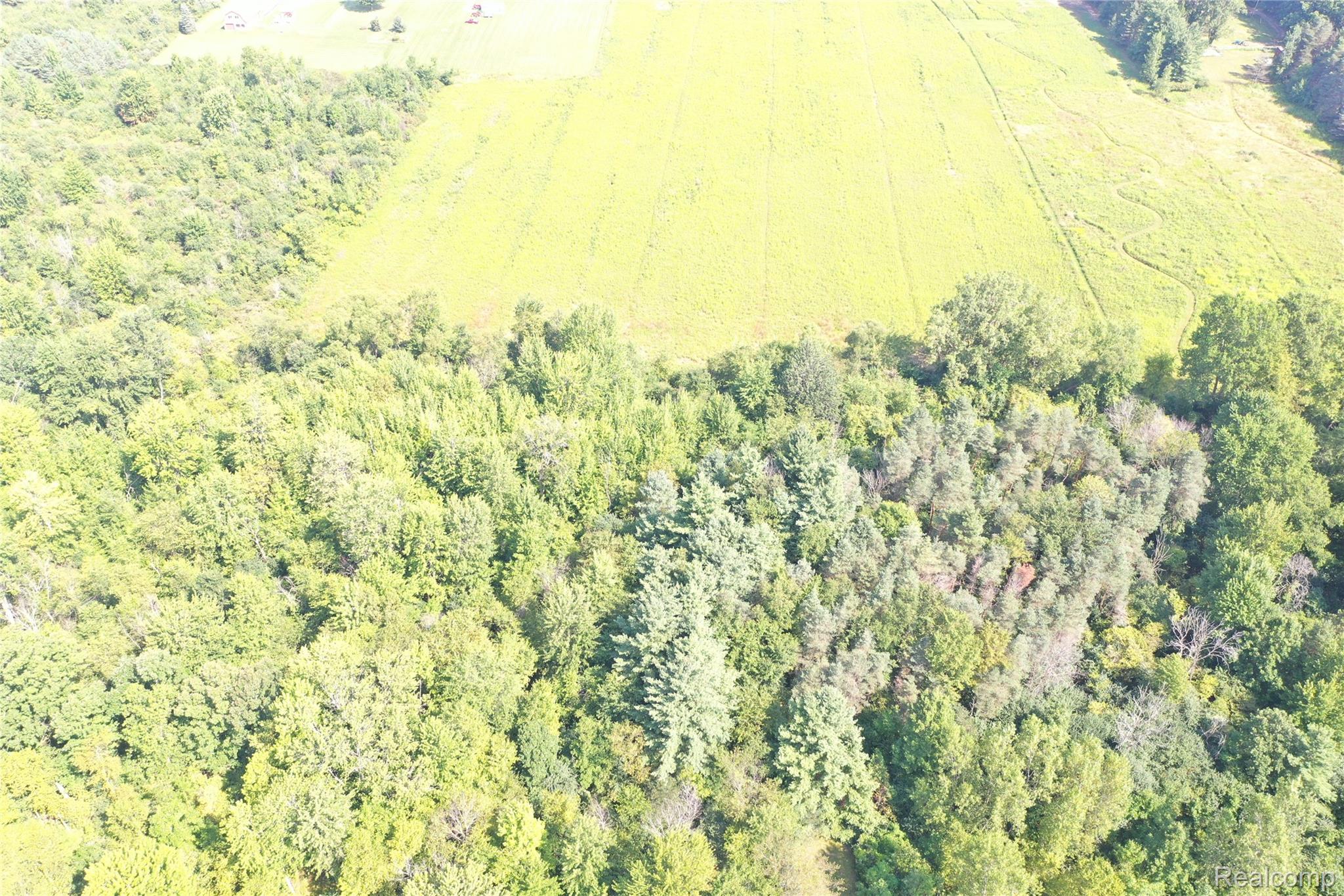 1 Foley Road Emmett, MI 48022 - Photo 8 of 16 DJI_0347.JPG