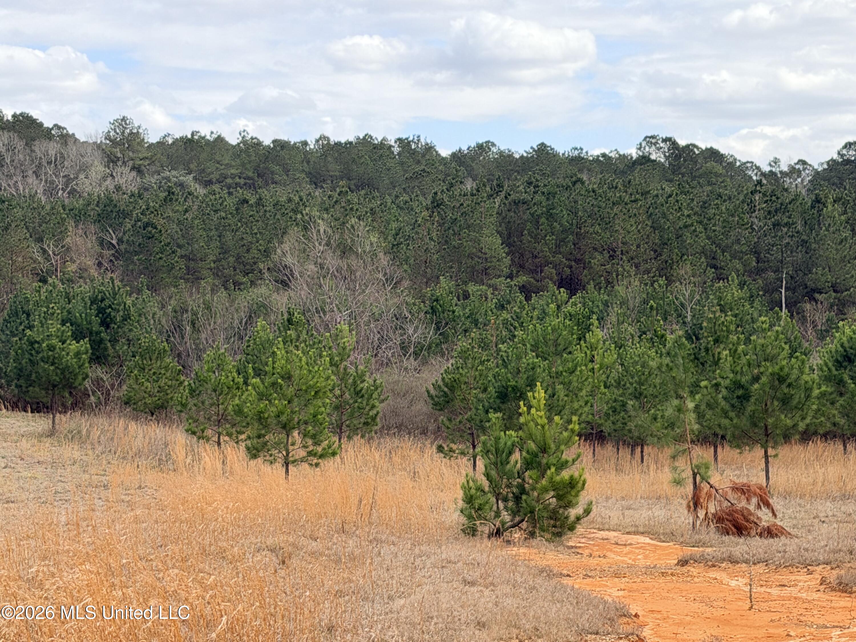 1 Gibson Road McComb, MS 39648 - Photo 5 of 7 IMG_4566