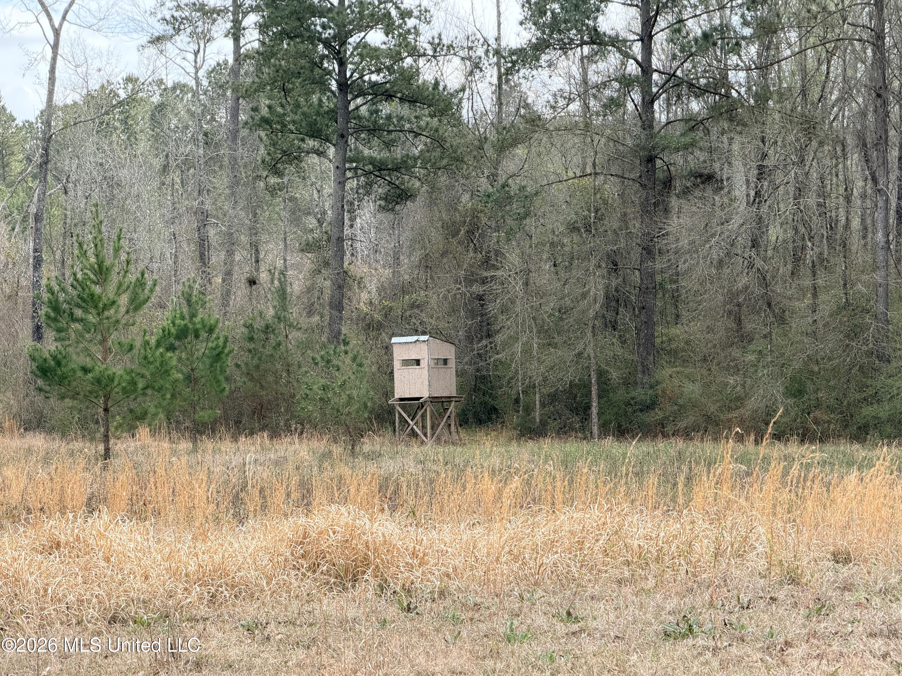 1 Gibson Road McComb, MS 39648 - Photo 6 of 7 IMG_4561