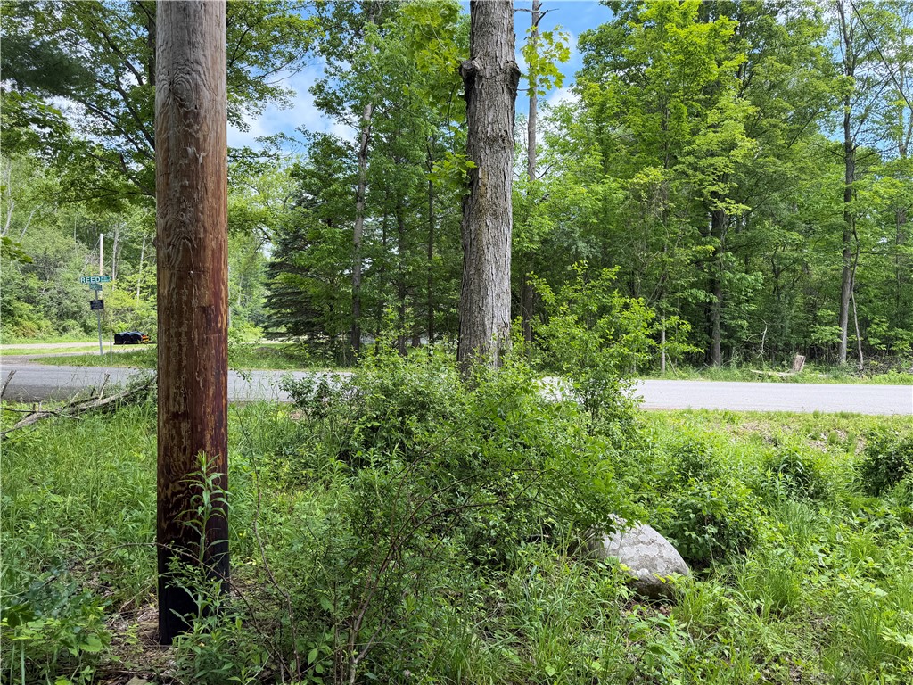 Vl Reed Road Dansville, NY 14437 - Photo 3 of 29