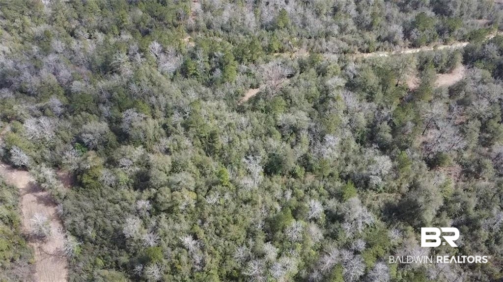 0 Chunchula Georgetown Road Chunchula, AL 36521 - Photo 8 of 15 Birds eye view of property featuring a view of trees