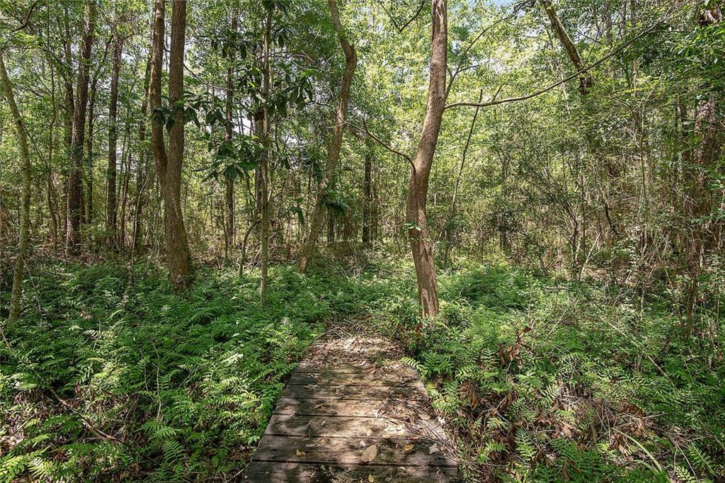 73380 Allen Road Abita Springs, LA 70420 - Photo 17 of 19