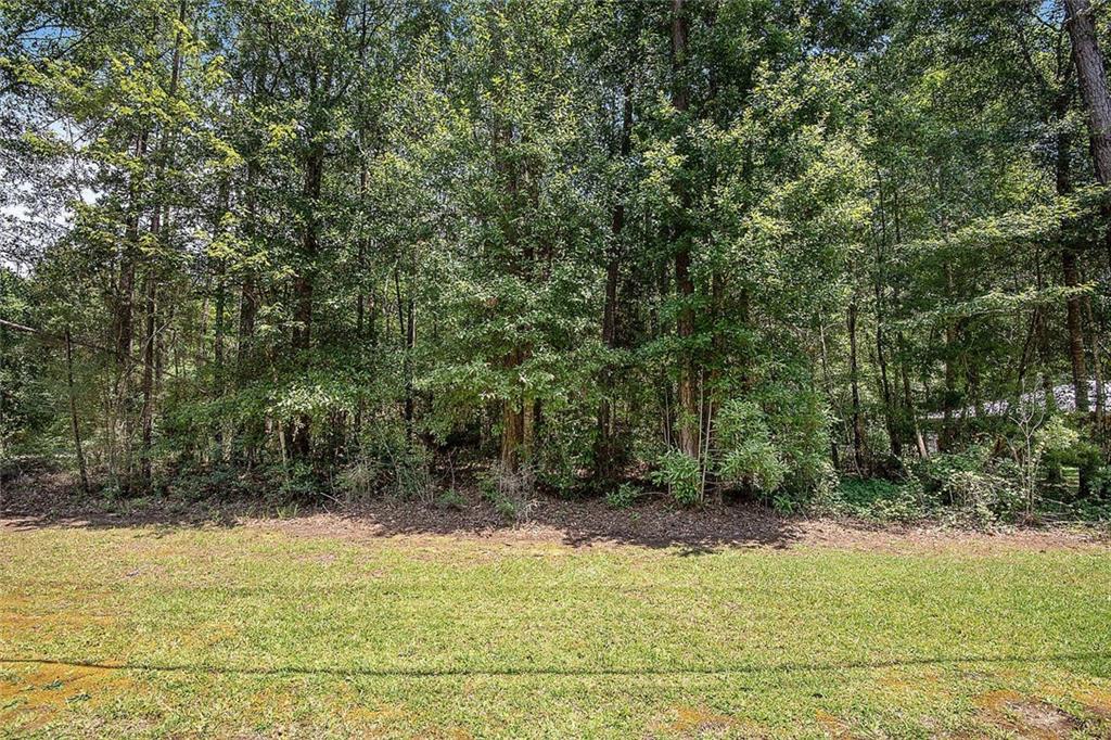 73380 Allen Road Abita Springs, LA 70420 - Photo 3 of 19