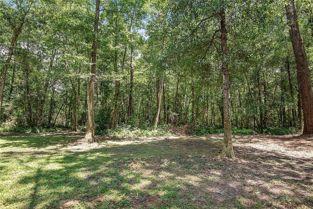 73380 Allen Road Abita Springs, LA 70420 - Photo 9 of 19