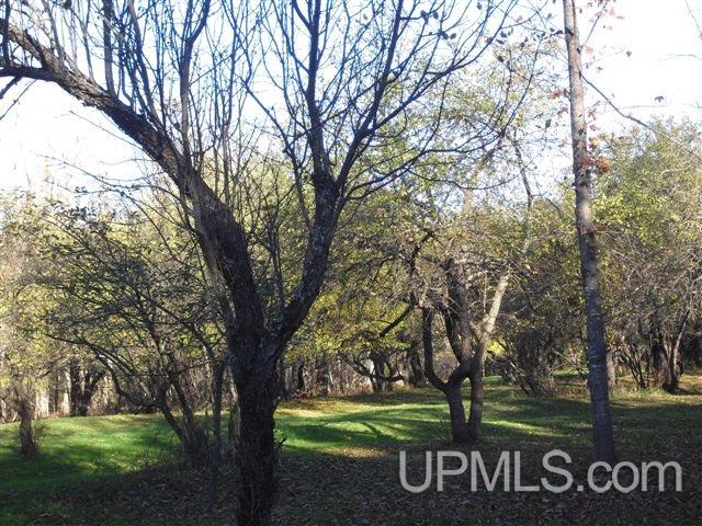 Tbd Country Lane Road Eben Junction, MI 49825 - Photo 5 of 21