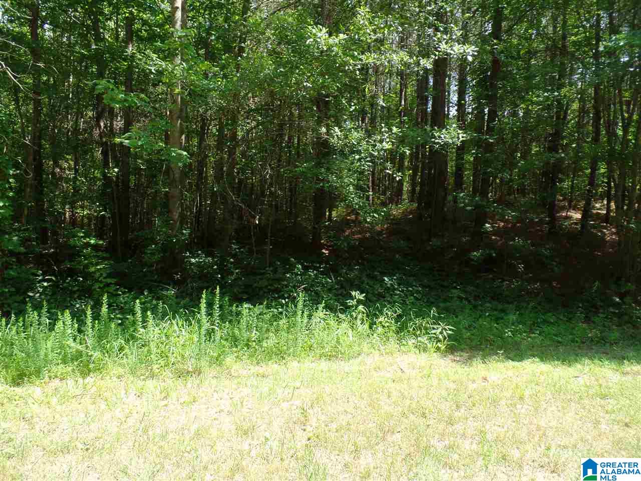 457 County Road, Unit 5 Heflin, AL 36264 - Photo 7 of 20