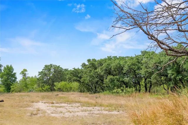 a view of a yard with a tree