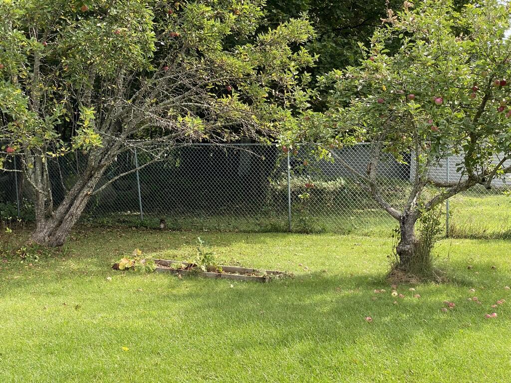 82 Enfield Road Lincoln, ME 04457 - Photo 13 of 48 IMG_13 (Copy)