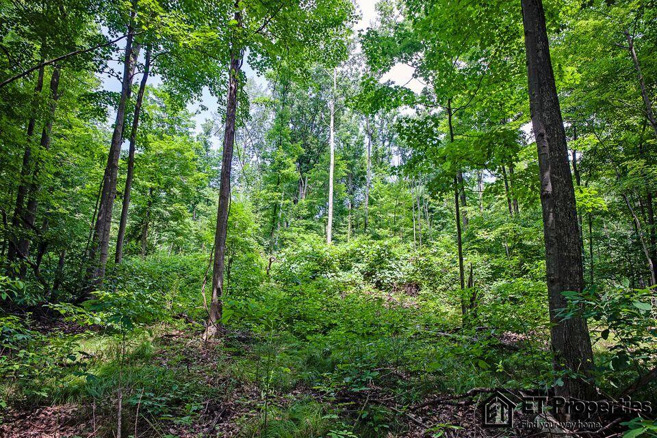 8371 14 Mile Road Northeast Cedar Springs, MI 49319 - Photo 6 of 8 7
