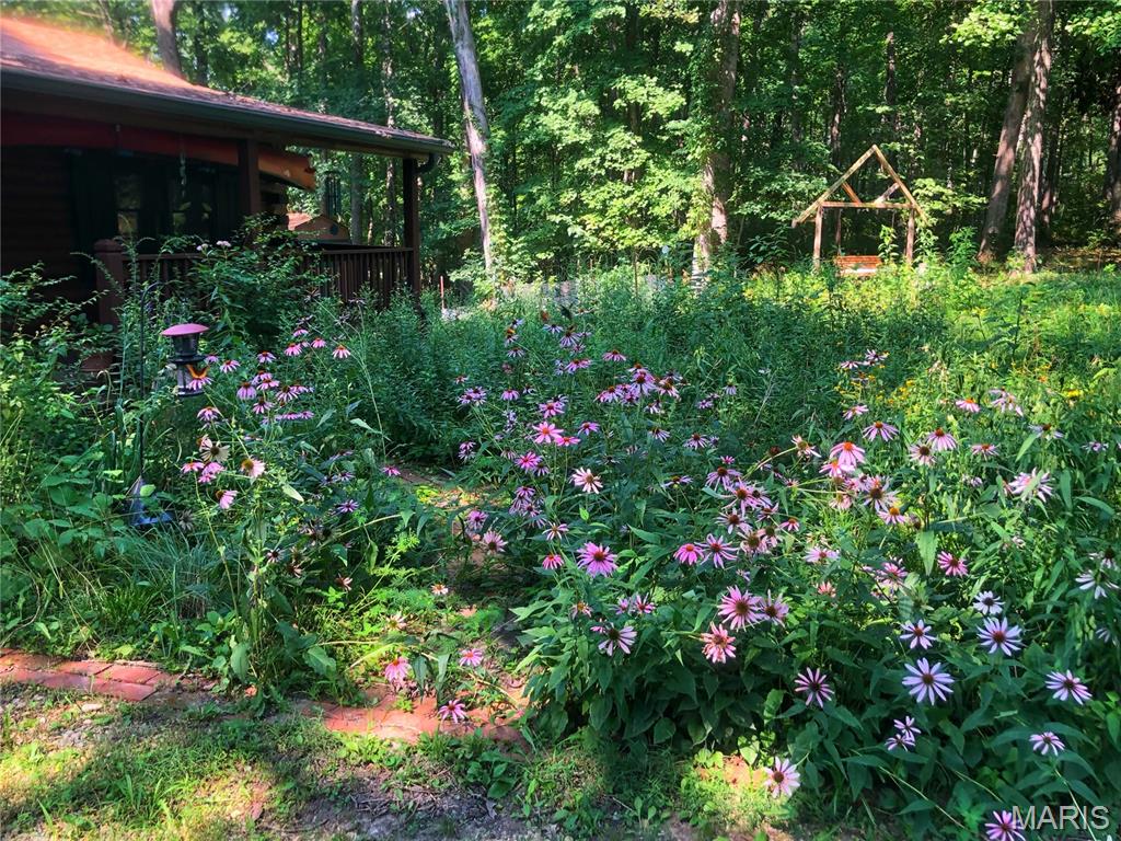 7887 Jim Weber Road Eureka, MO 63025 - Photo 5 of 6