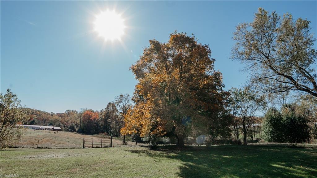 668 Tom Jones Road Ararat, NC 27007 - Photo 15 of 35 Gallery Image 15
