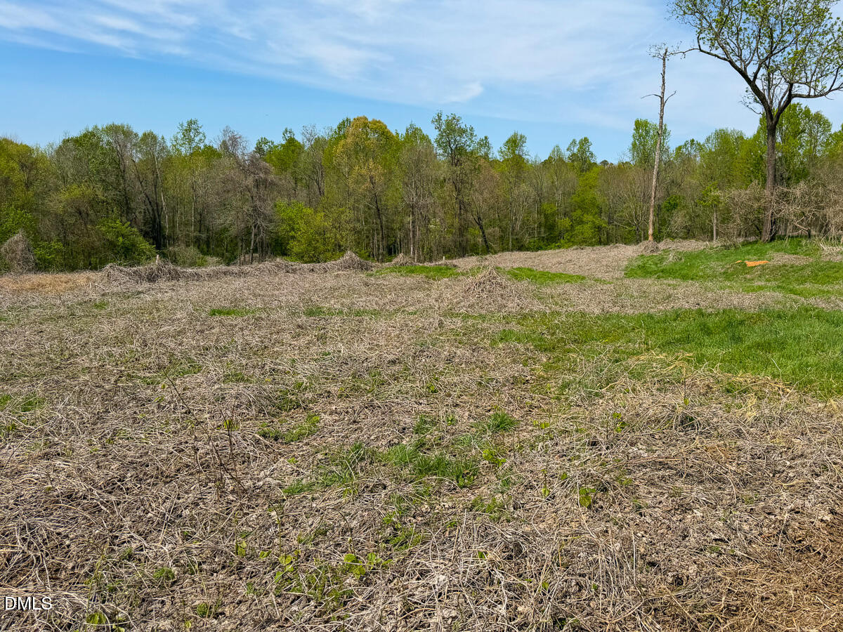0 Pentecost Road Cedar Grove, NC 27231 - Photo 20 of 45