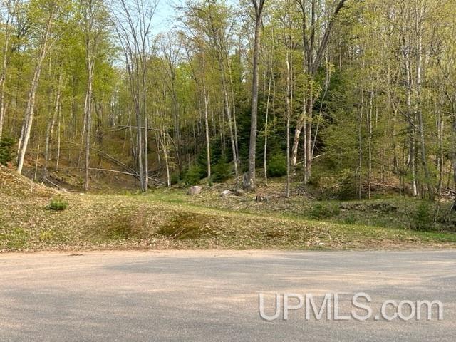 9 County Road 510 Negaunee, MI 49866 - Photo 16 of 22
