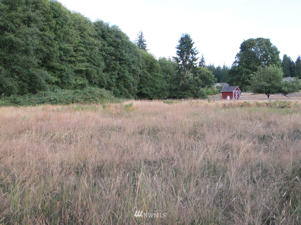 1 East Clyde Road Langley, WA 98260 - Photo 4 of 5 Gallery Image 4