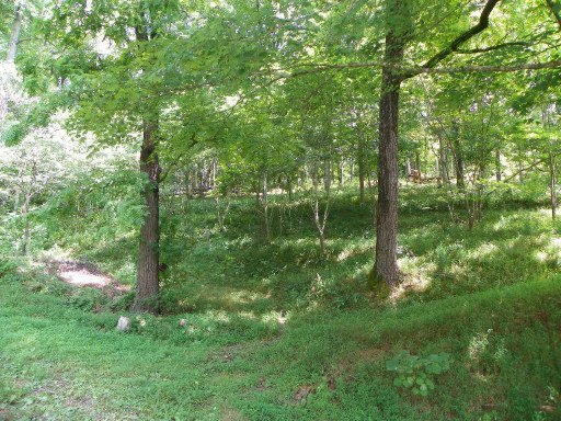 358 Vannoy Road Tazewell, TN 37879 - Photo 4 of 23 Additional Photo