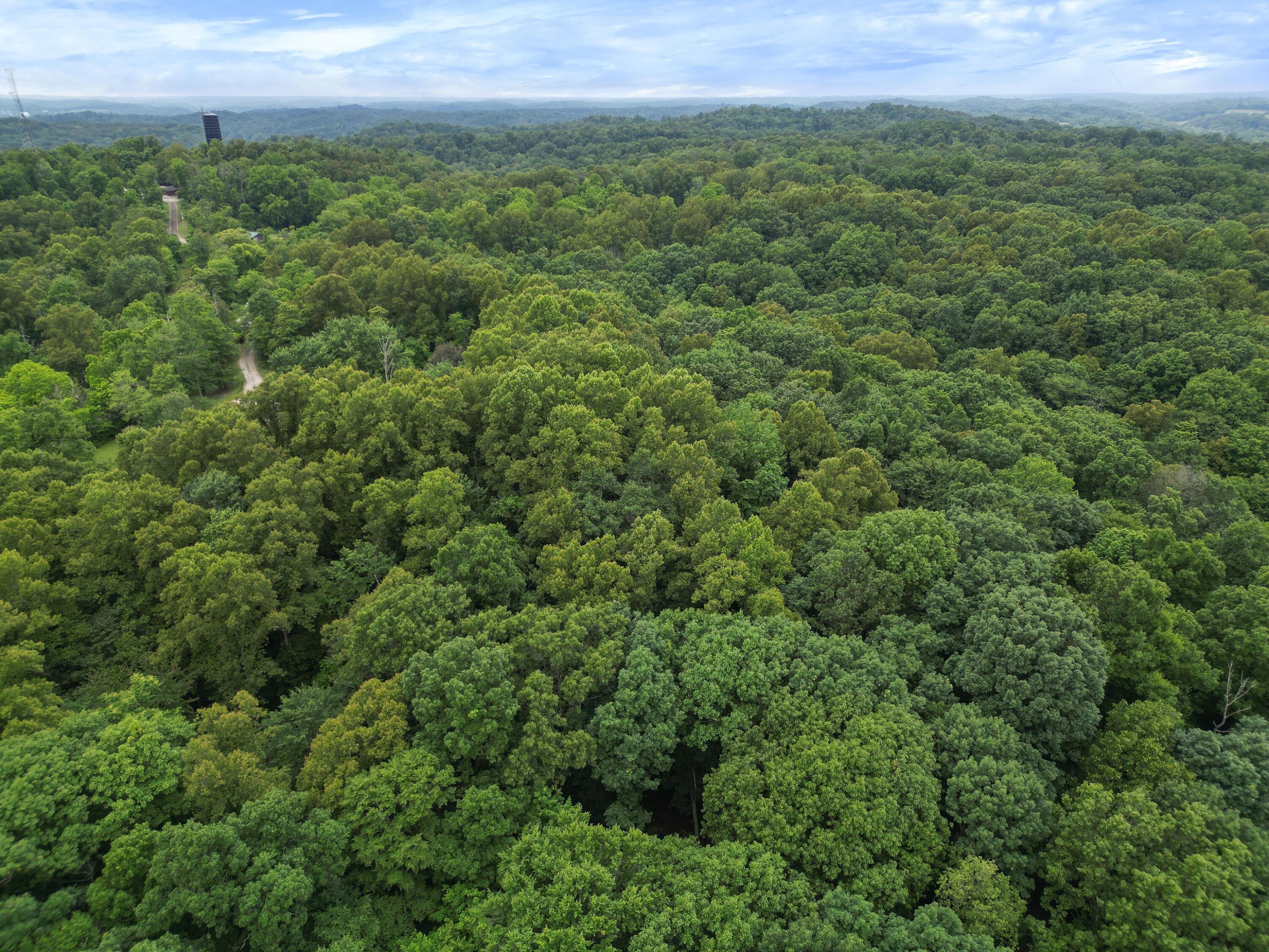 37126 Scout Road Logan, OH 43138 - Photo 68 of 68 6-print-DJI_0097