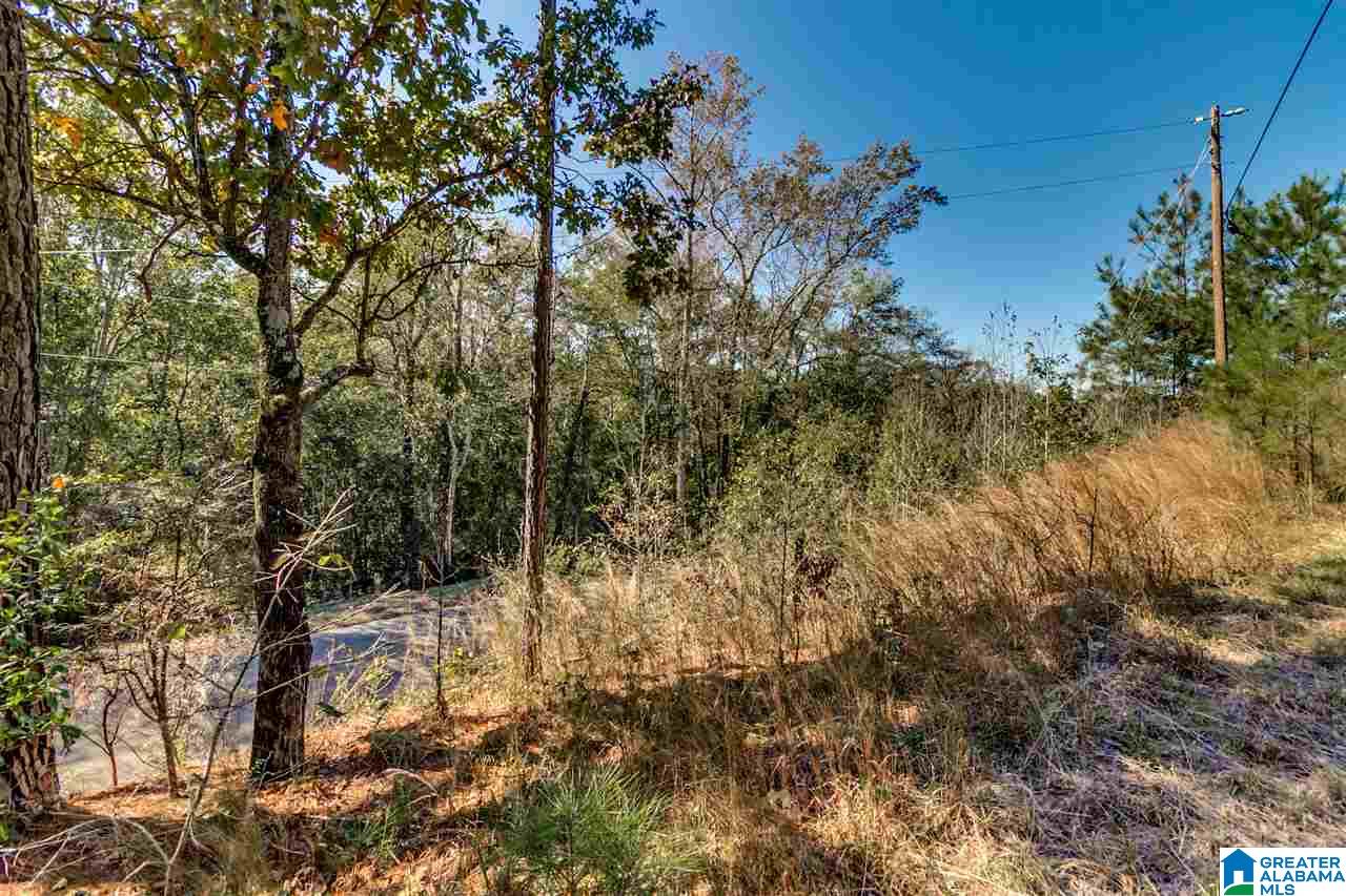 384 Wolf Pond Road, Unit 1 Talladega, AL 35160 - Photo 7 of 26