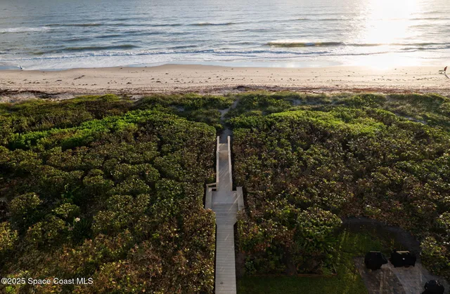 a living room with furniture a potted plant and kitchen view