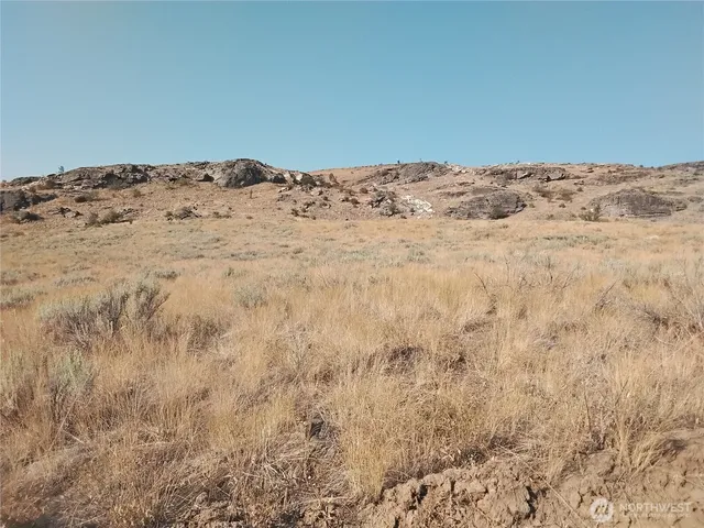 a view of a dry yard with wooden fence