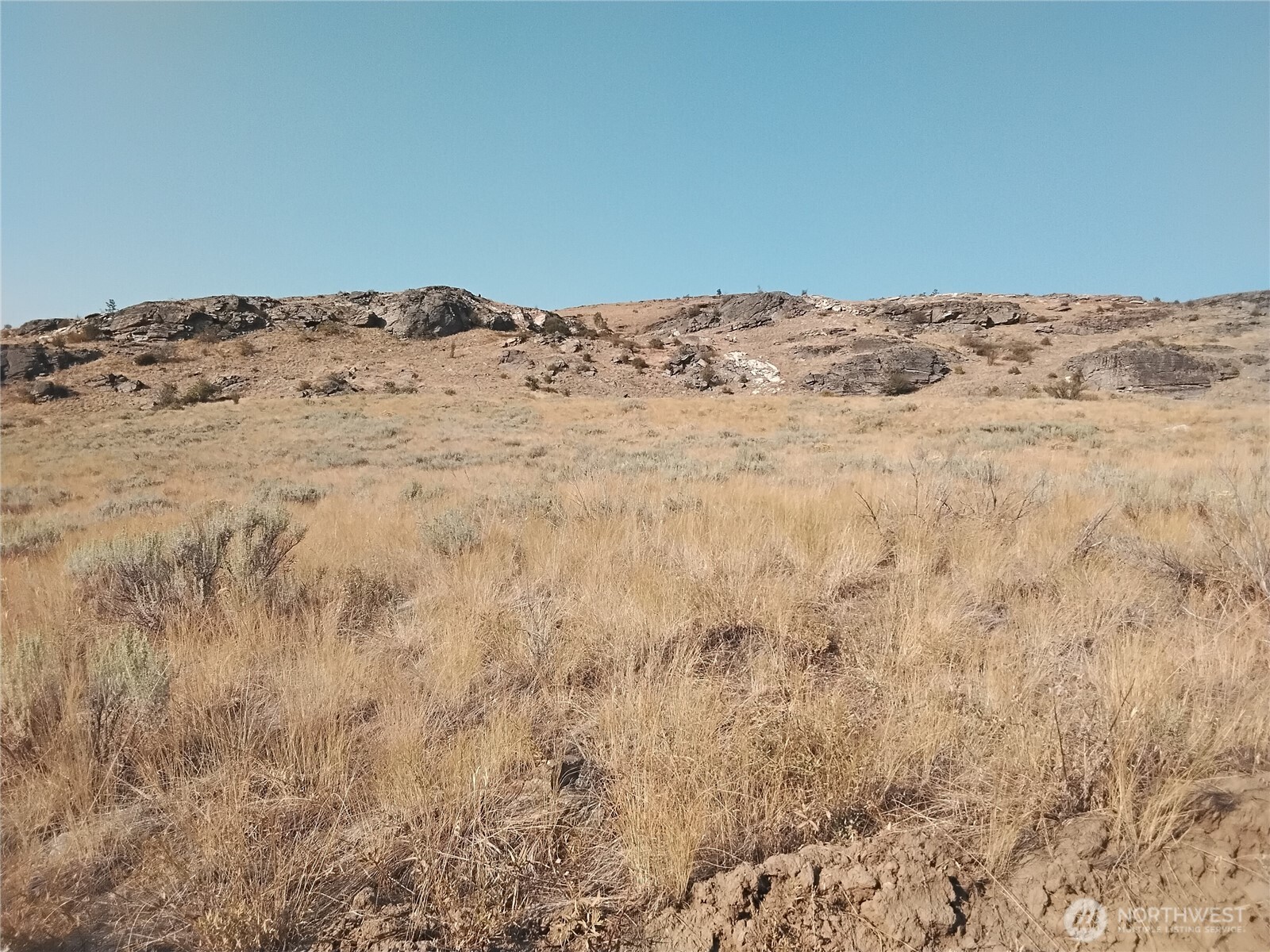 6 Painted Rock Road Riverside, WA 98849 - Photo 2 of 7 a view of a dry yard with wooden fence