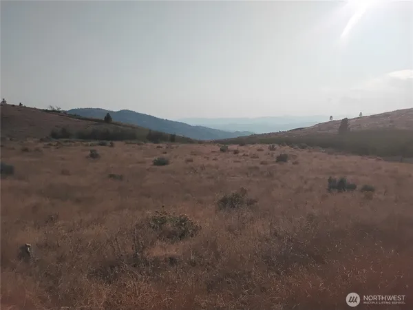 a view of mountain