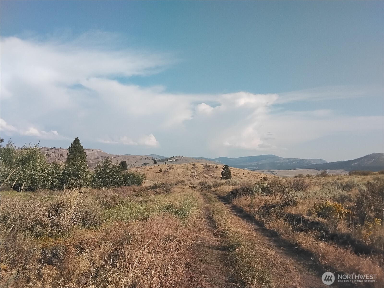 6 Painted Rock Road Riverside, WA 98849 - Photo 5 of 7 a view of outdoor space and city view