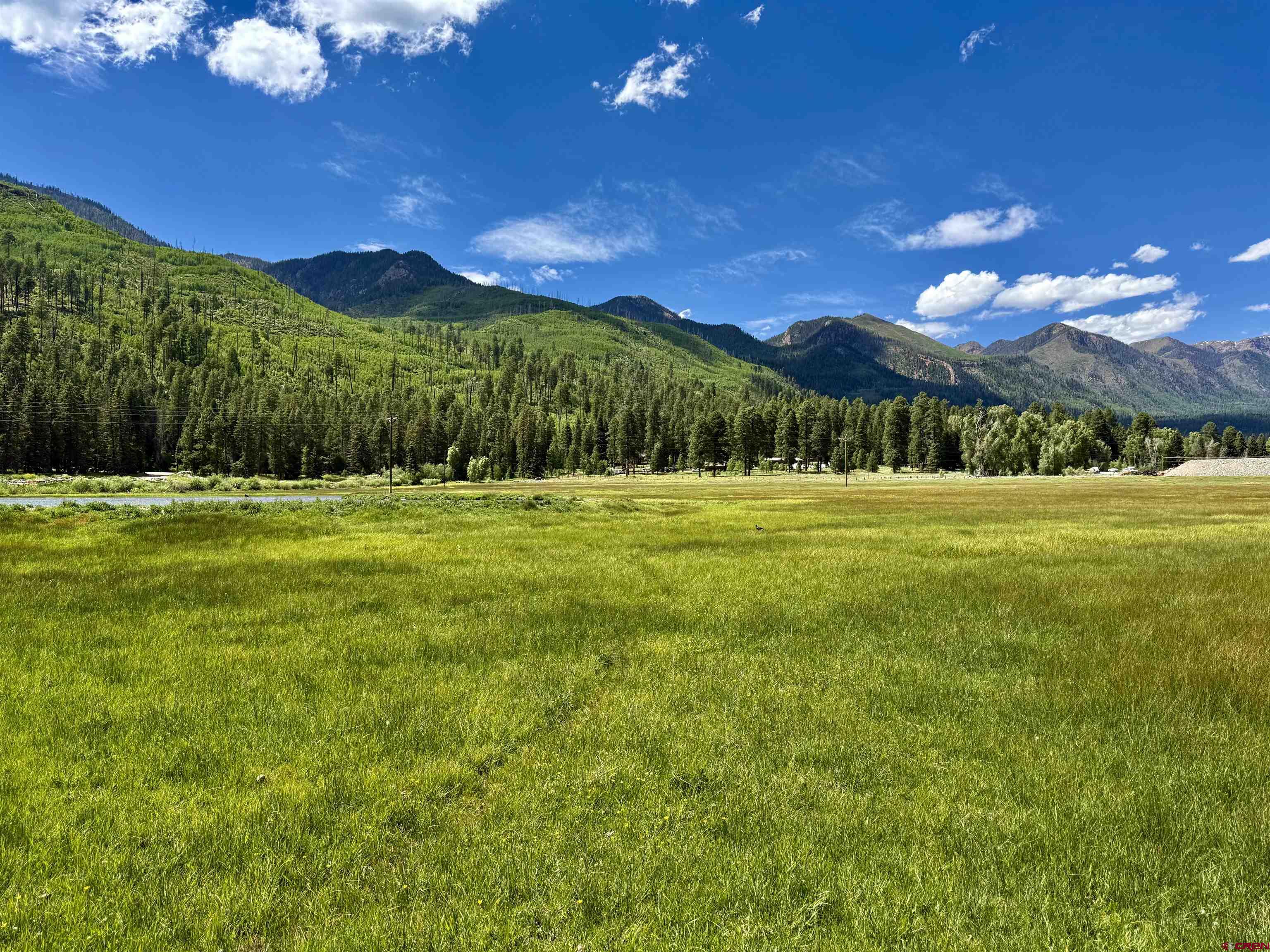 156 Golden Forest Road Bayfield, CO 81122 - Photo 9 of 23