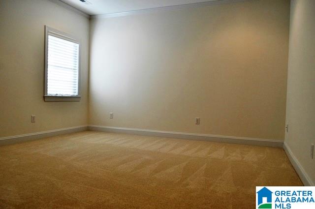 123 Mccain Street Lineville, AL 36266 - Photo 8 of 18