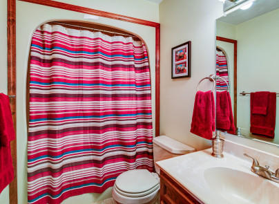 445 Deep Woods Road Hardy, VA 24101 - Photo 14 of 47 a bathroom with a sink toilet and shower