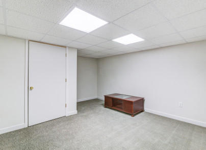 445 Deep Woods Road Hardy, VA 24101 - Photo 23 of 47 an empty room with potted plants