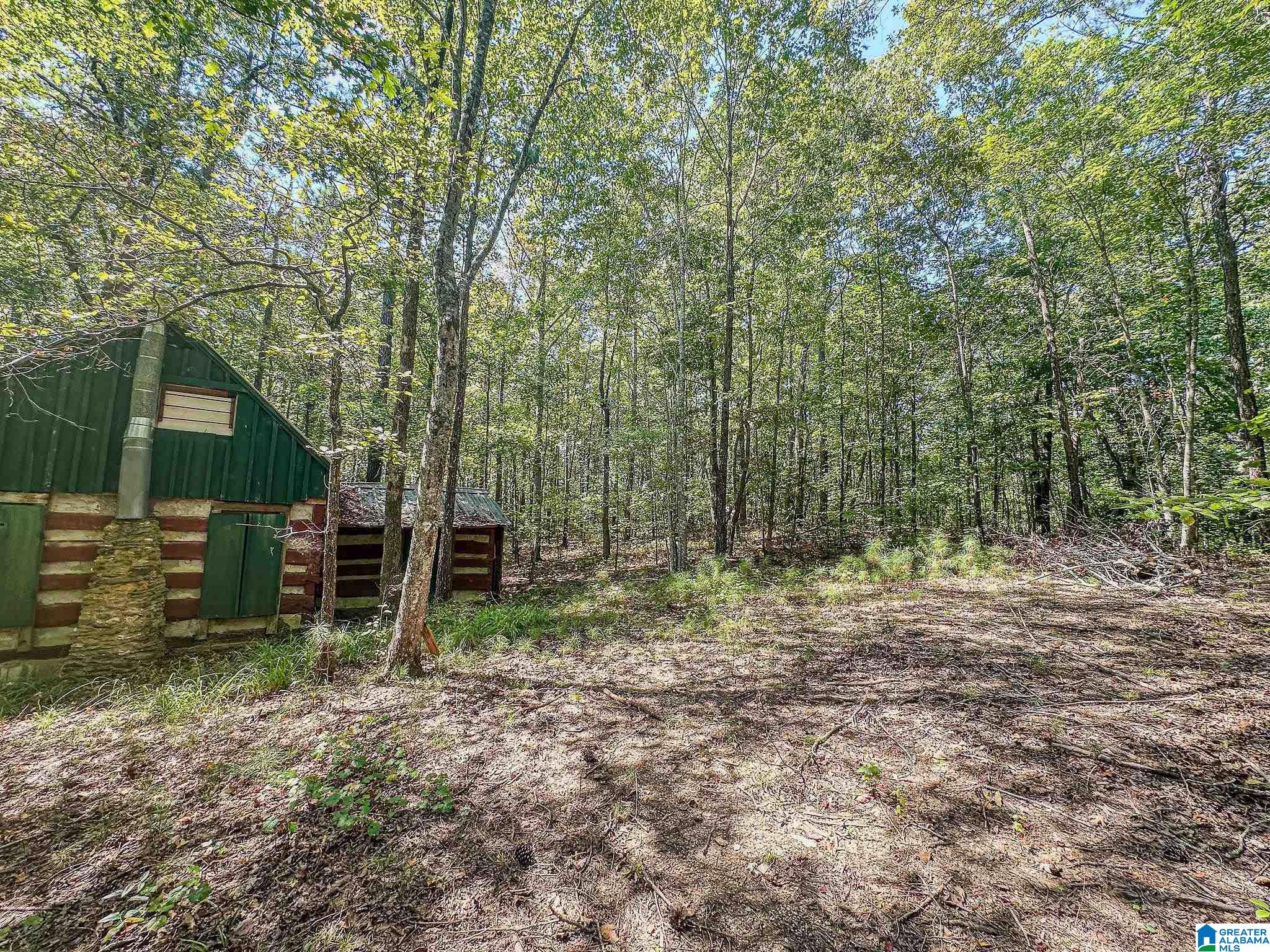 400 Fox Trot Road Talladega, AL 35160 - Photo 17 of 24