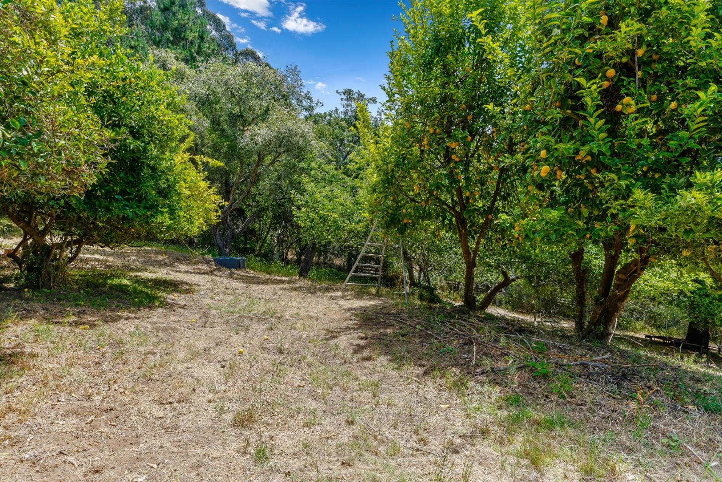 800 Ranchitos Del Sol Aptos, CA 95003 - Photo 41 of 50 Gallery Image 41