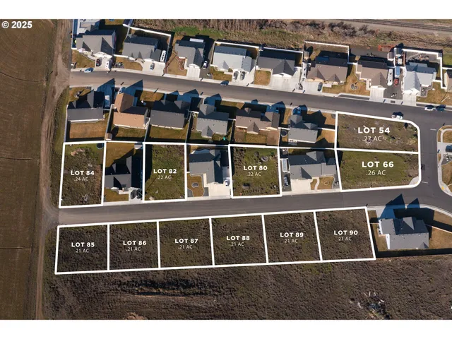 a black and white building with windows