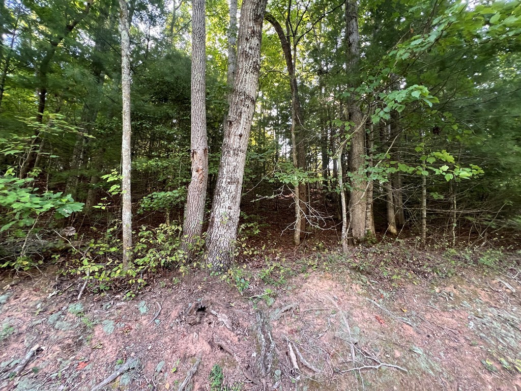1 Bell Hill Road Murphy, NC 28906 - Photo 10 of 10 Gallery Image 10