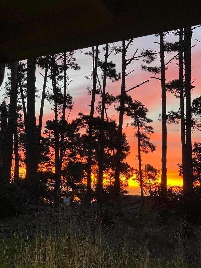 250 Forest Ridge Road, Unit 27 Monterey, CA 93940 - Photo 36 of 38 a view of tree from a yard