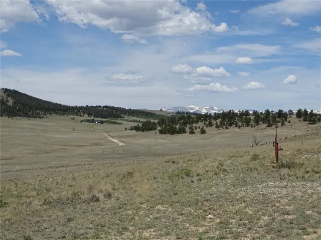 a view of a dry yard