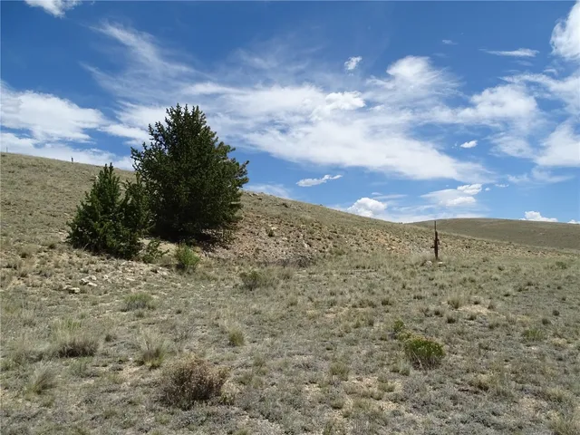a view of a dry yard with trees