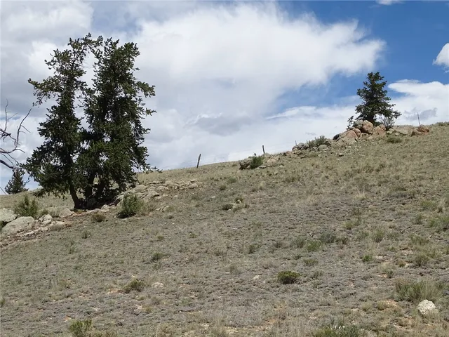a view of a dry field with trees in the background
