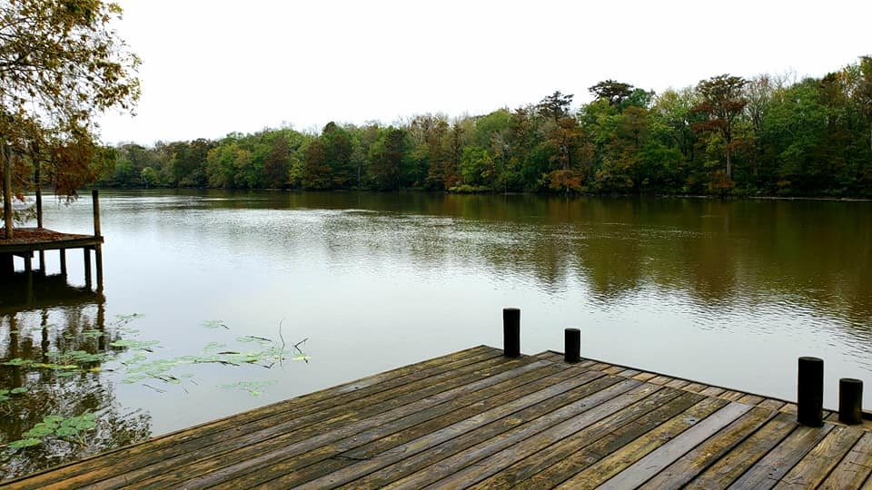 8605 Bryant's Lndg Road Stockton, AL 36579 - Photo 15 of 18