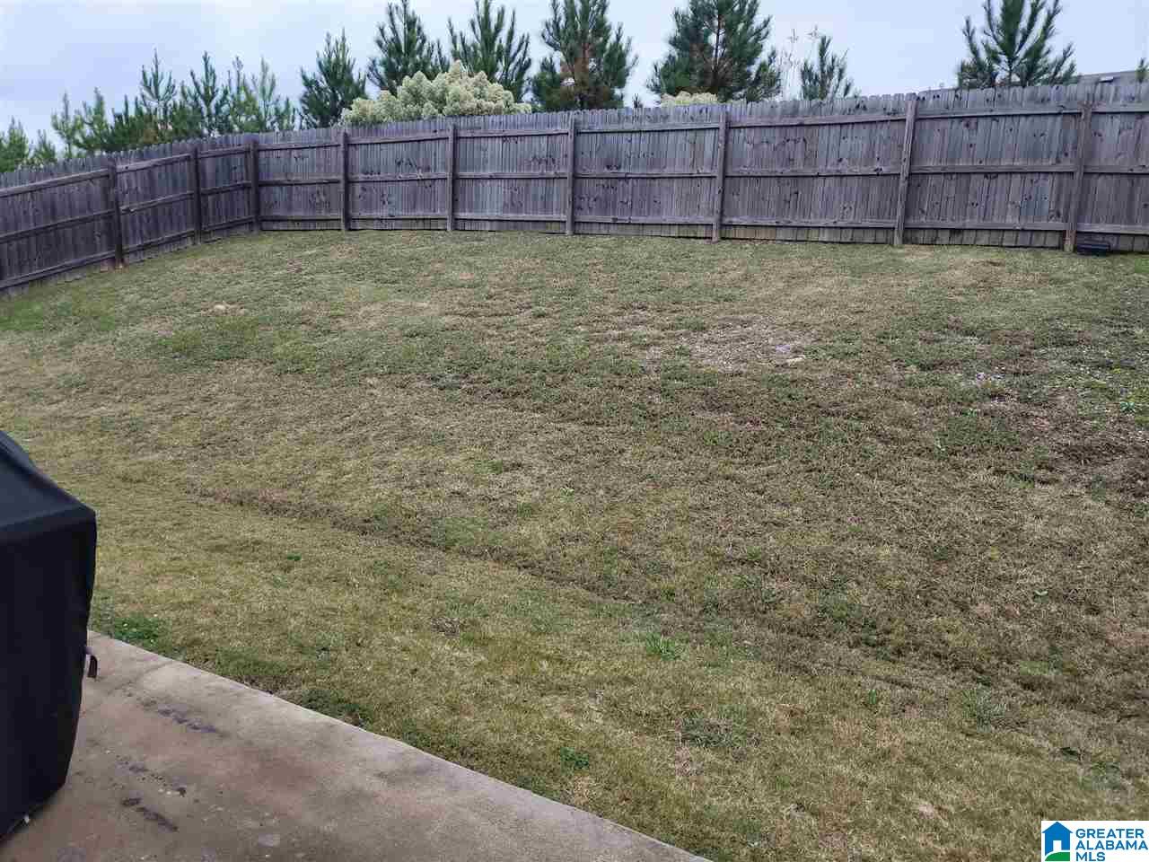 528 Chesser Reserve Way Chelsea, AL 35043 - Photo 3 of 19