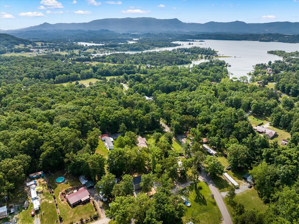 2108 Cox Road Dandridge, TN 37725 - Photo 20 of 29