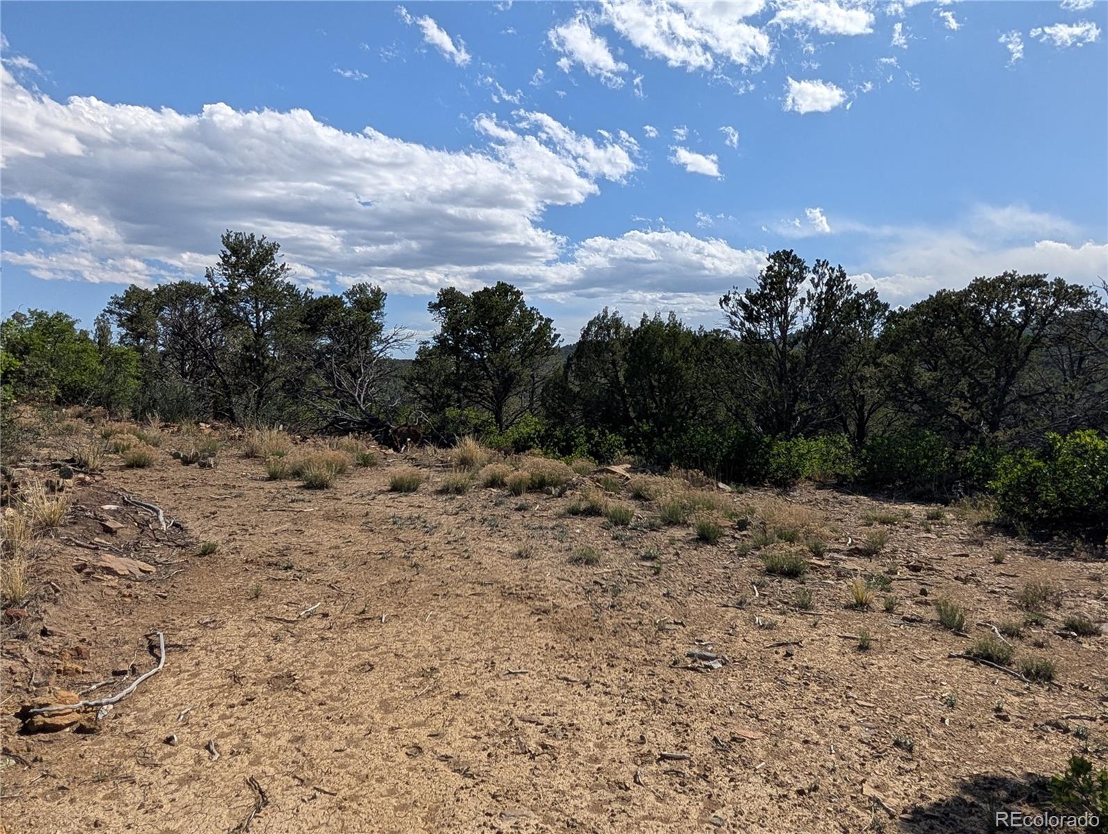 Fishers Peak Ranch Trinidad, CO 81082 - Photo 8 of 34