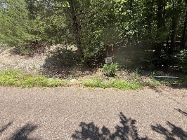 6 Cherry Chapel Loop Savannah, TN 38372 - Photo 11 of 18