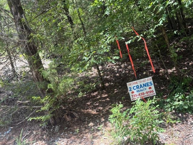 6 Cherry Chapel Loop Savannah, TN 38372 - Photo 12 of 18 a sign that is sitting in a forest