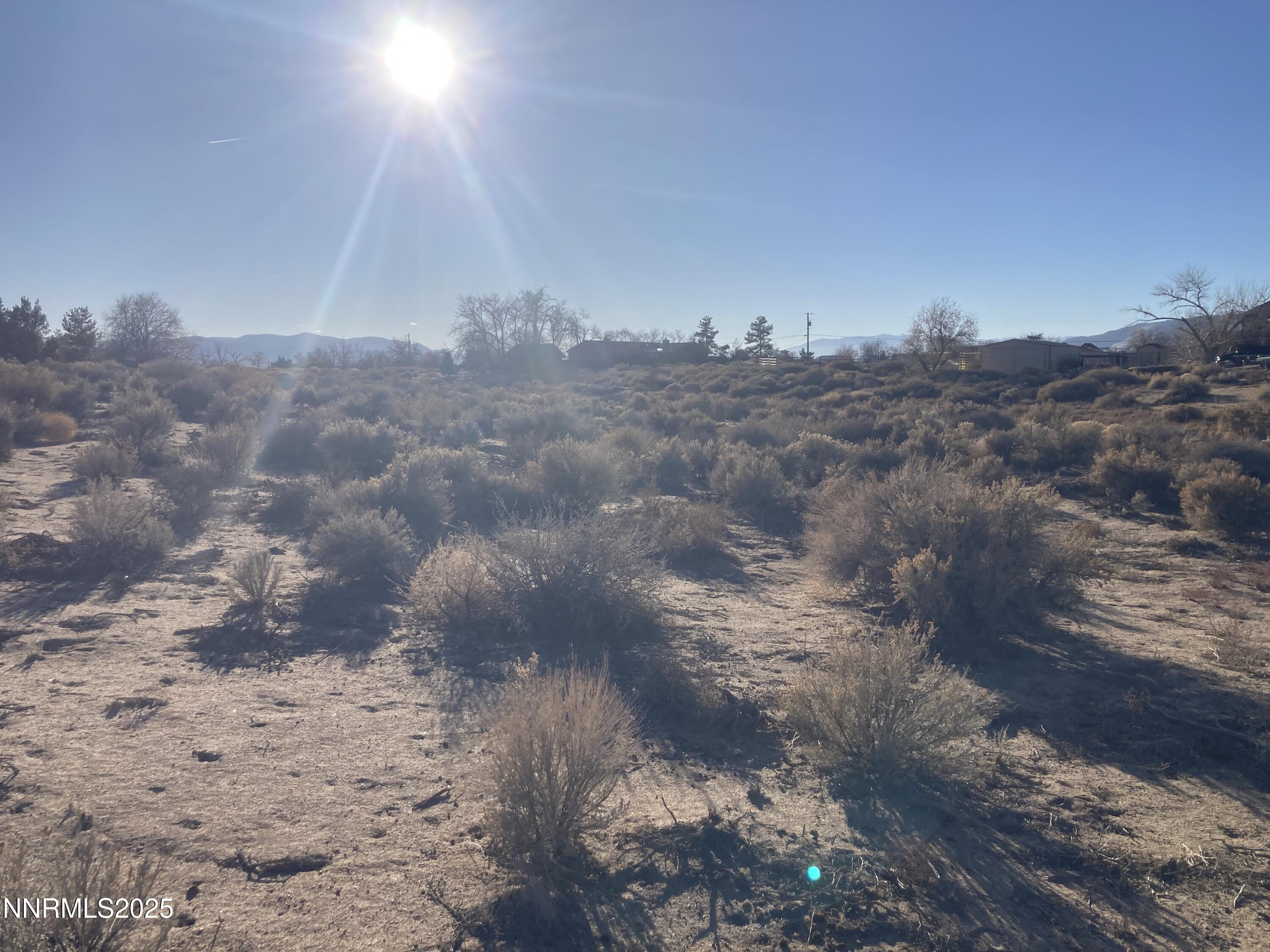 310 Ophir Road Dayton, NV 89403 - Photo 2 of 3 a view of mountains in the middle of a yard