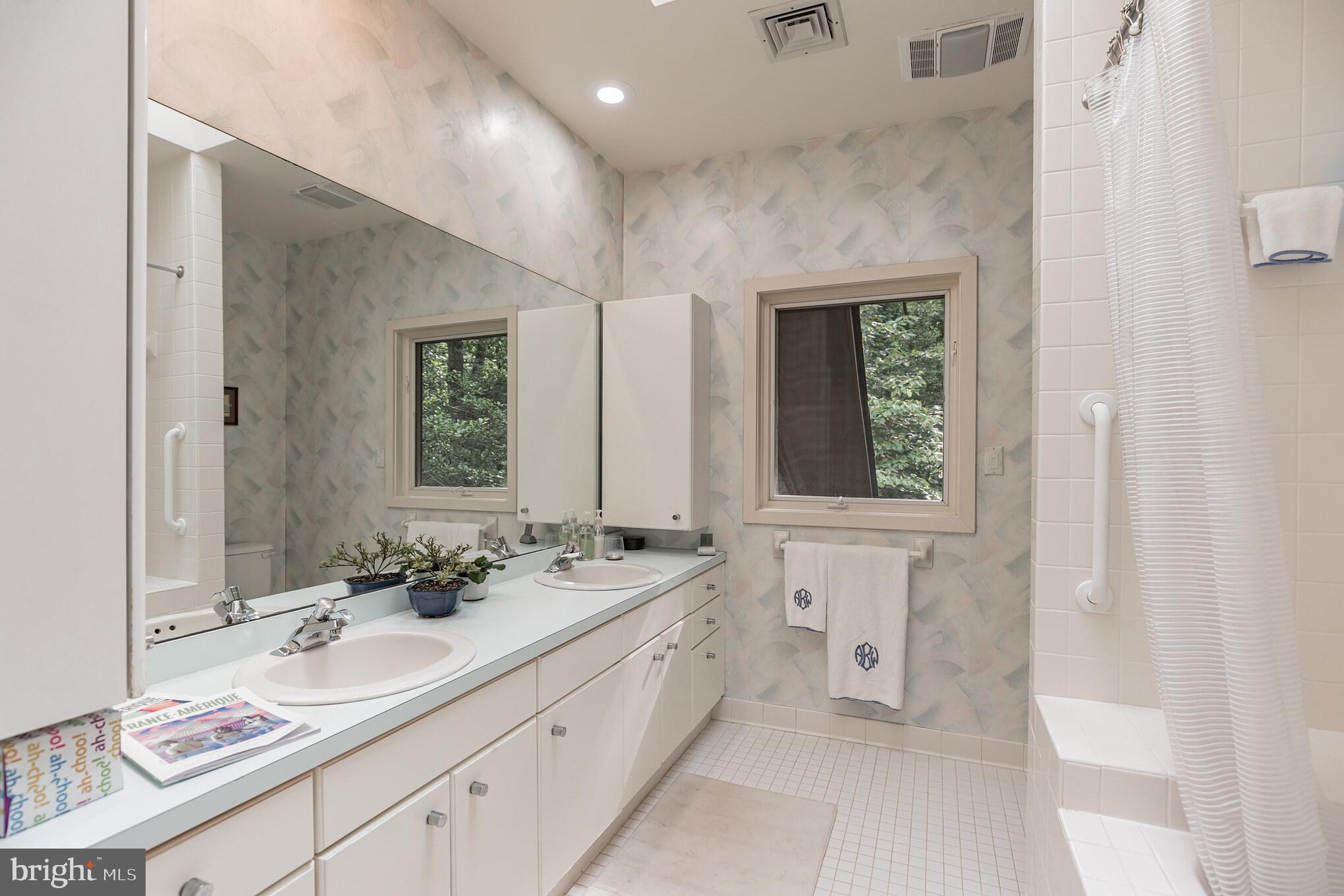 10375 Mackall Road St. Leonard, MD 20685 - Photo 21 of 36 Main Bath with skylights