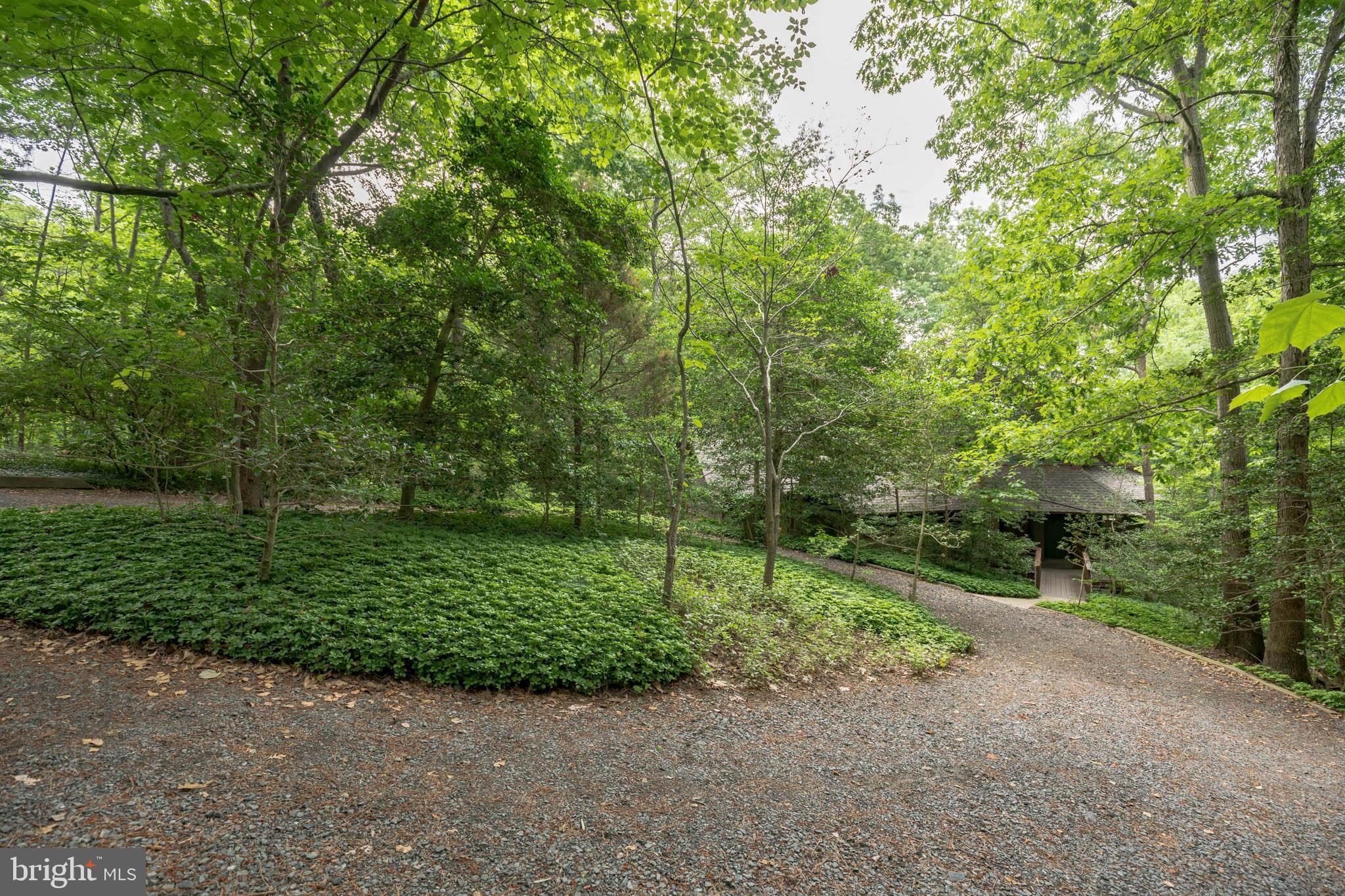 10375 Mackall Road St. Leonard, MD 20685 - Photo 24 of 36 Gallery Image 24