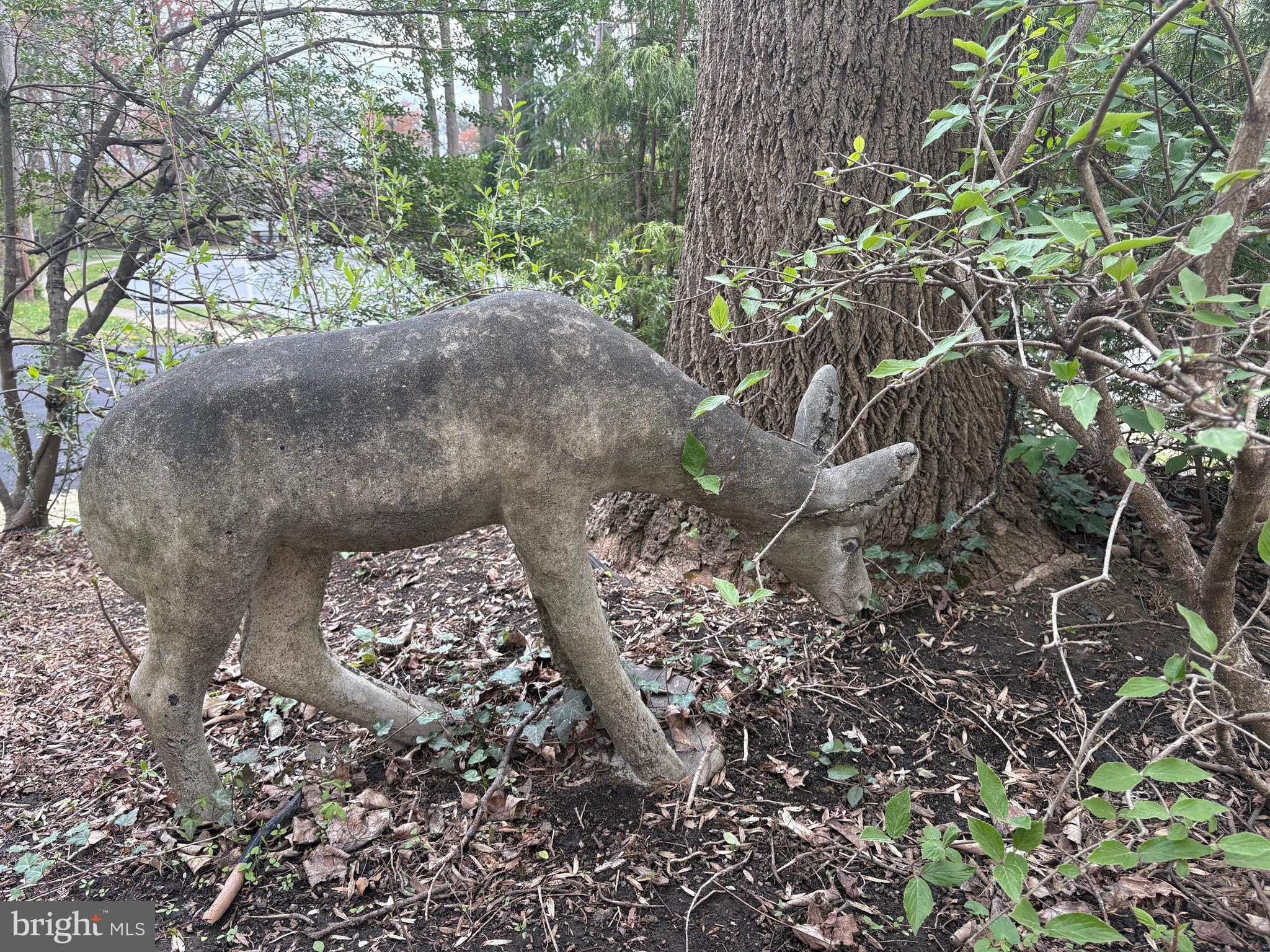 421 Concord Avenue Exton, PA 19341 - Photo 37 of 38 a view of outdoor space and yard