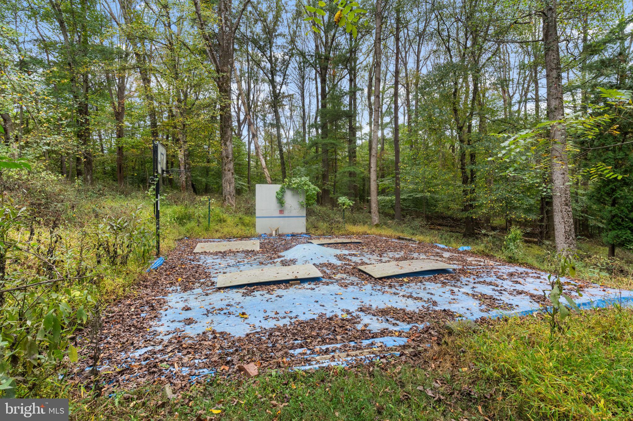 11800 Stoney Creek Road Potomac, MD 20854 - Photo 52 of 78