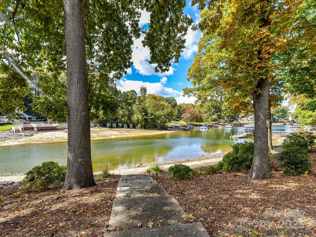 a view of a lake with a tree